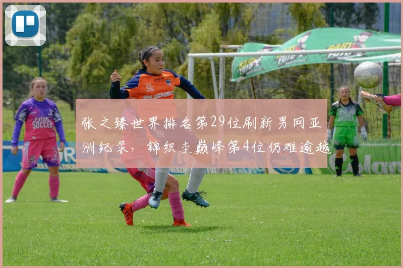 张之臻世界排名第29位刷新男网亚洲纪录，锦织圭巅峰第4位仍难逾越__br_
