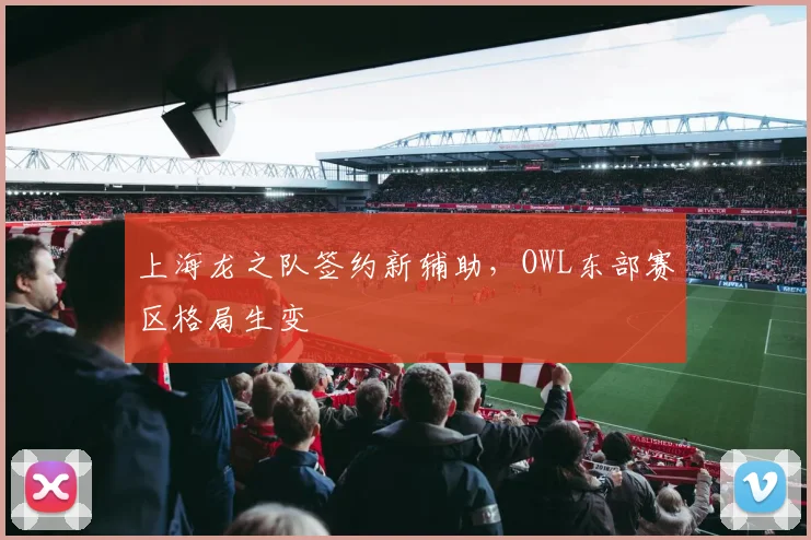 上海龙之队签约新辅助，OWL东部赛区格局生变